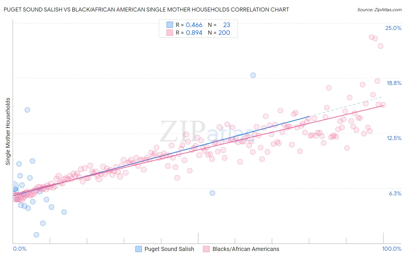 Puget Sound Salish vs Black/African American Single Mother Households