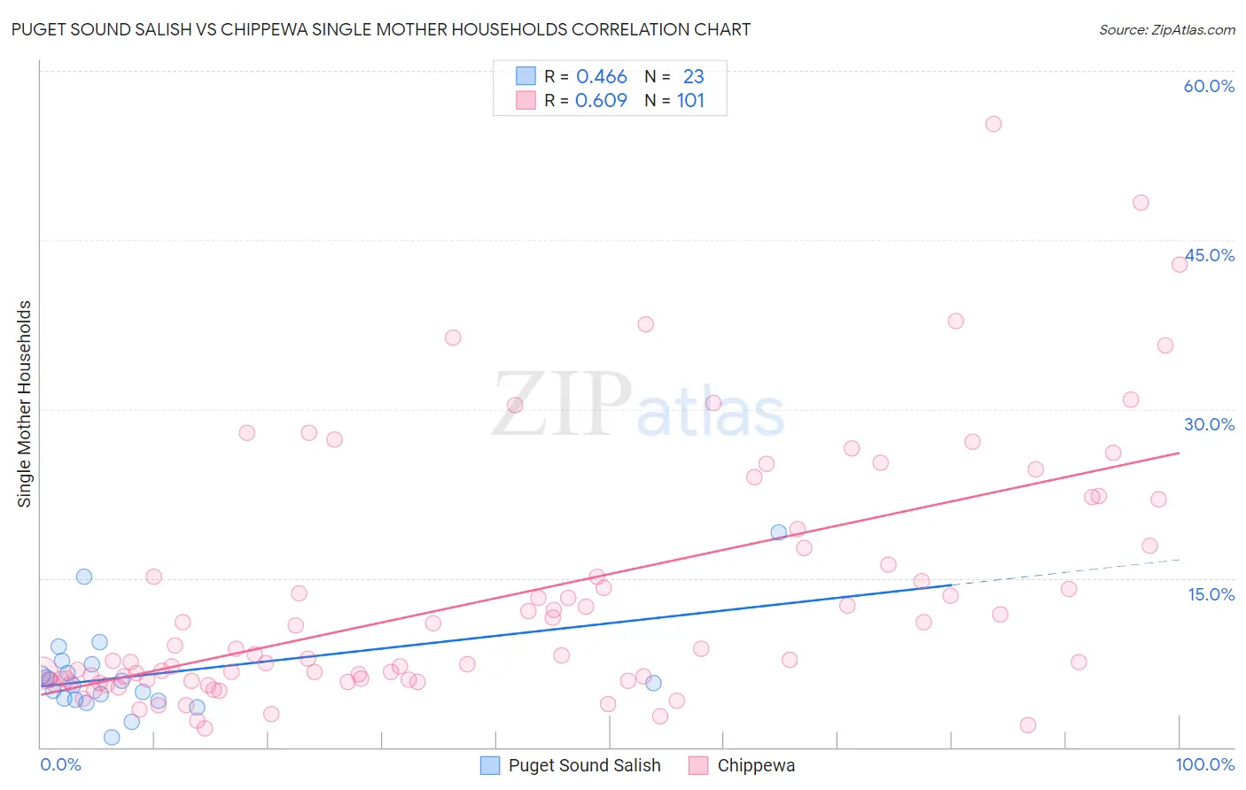 Puget Sound Salish vs Chippewa Single Mother Households