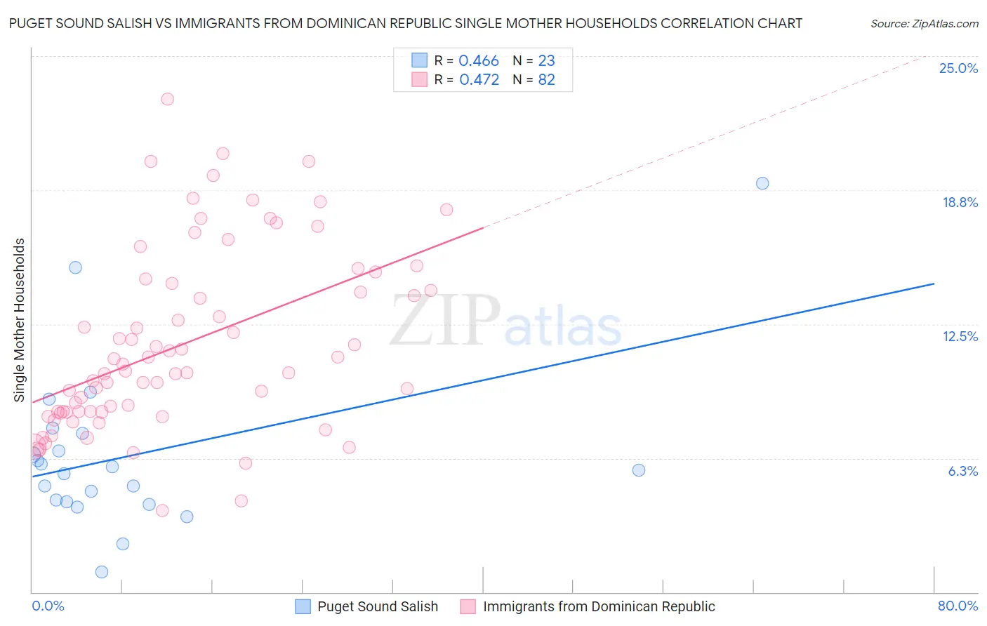 Puget Sound Salish vs Immigrants from Dominican Republic Single Mother Households