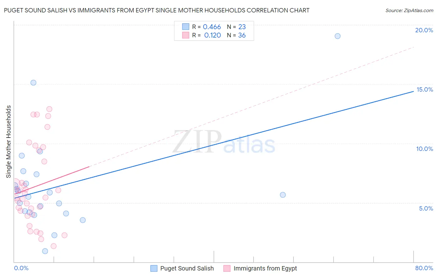Puget Sound Salish vs Immigrants from Egypt Single Mother Households
