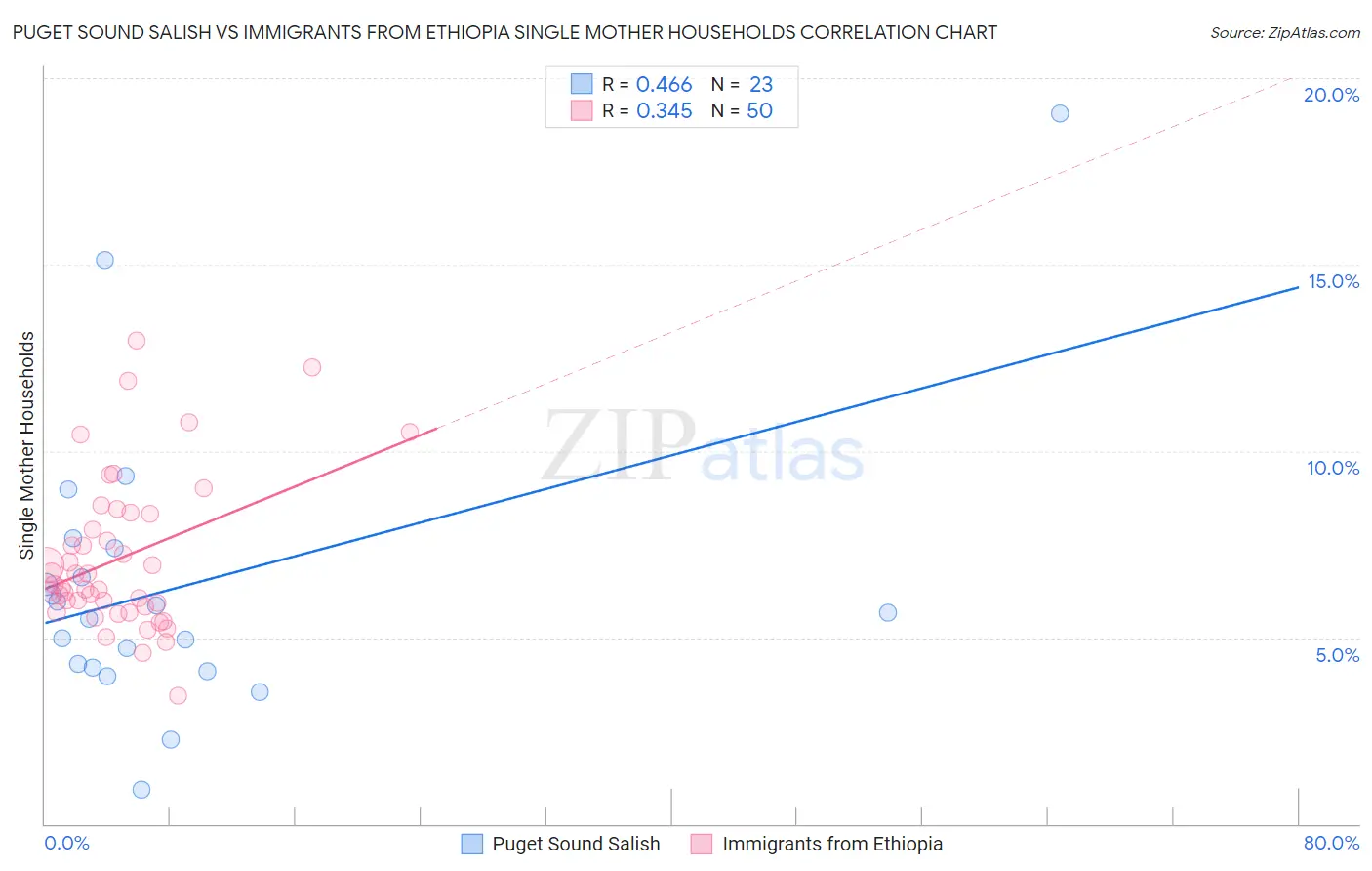 Puget Sound Salish vs Immigrants from Ethiopia Single Mother Households