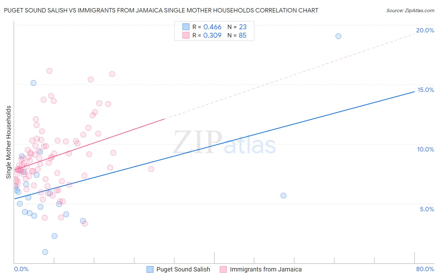 Puget Sound Salish vs Immigrants from Jamaica Single Mother Households