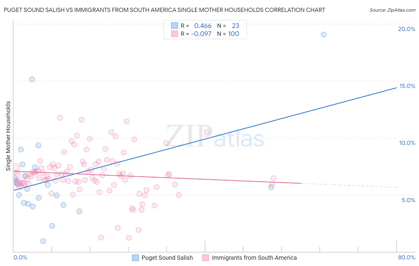 Puget Sound Salish vs Immigrants from South America Single Mother Households