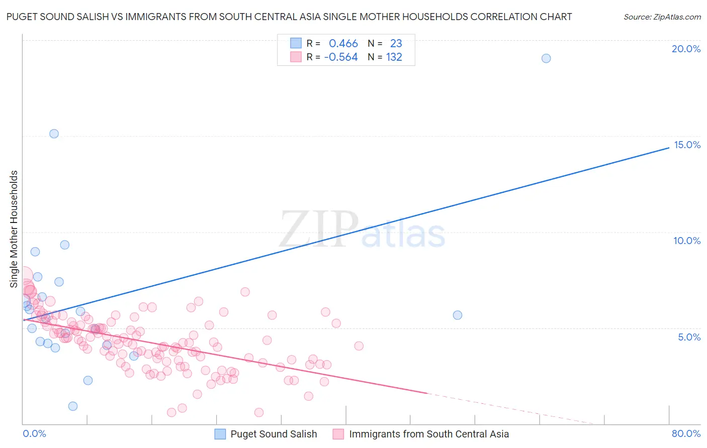 Puget Sound Salish vs Immigrants from South Central Asia Single Mother Households