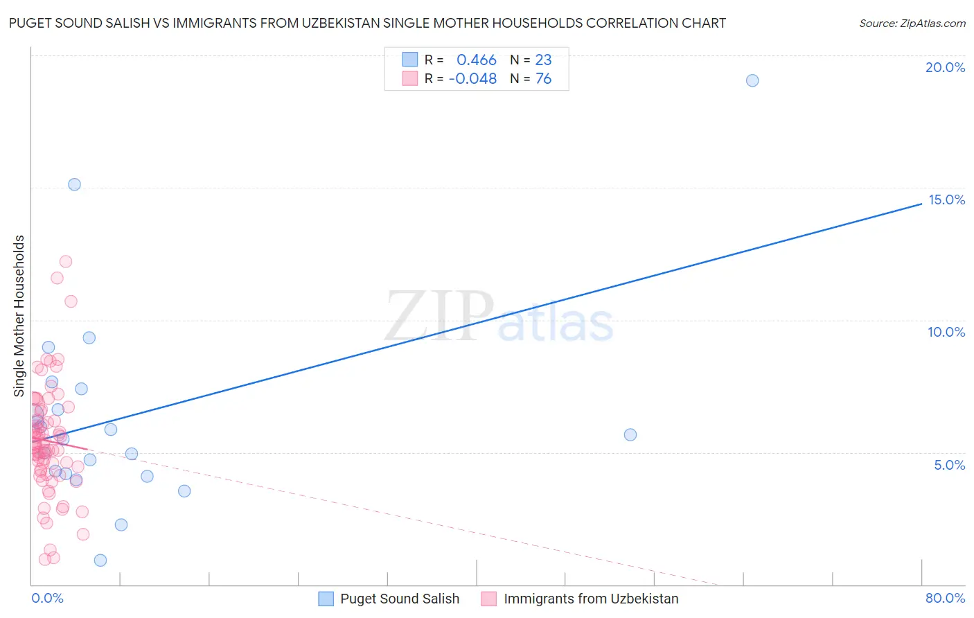 Puget Sound Salish vs Immigrants from Uzbekistan Single Mother Households