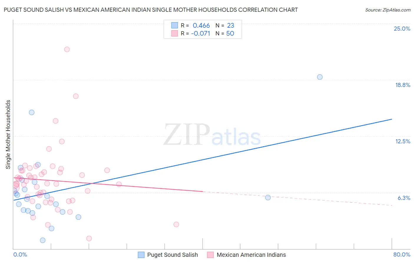 Puget Sound Salish vs Mexican American Indian Single Mother Households