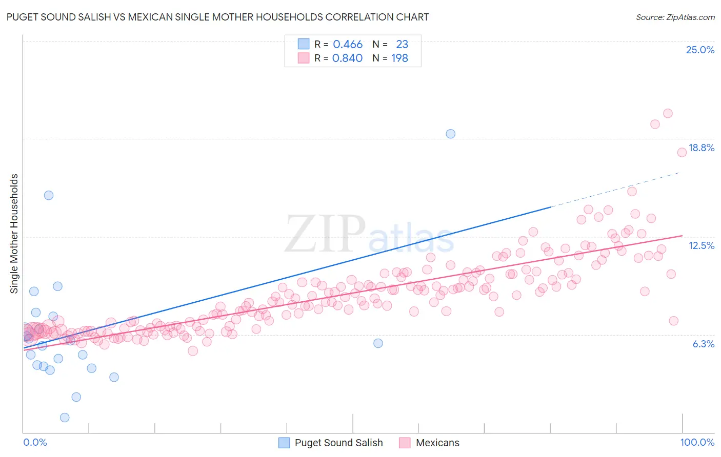 Puget Sound Salish vs Mexican Single Mother Households