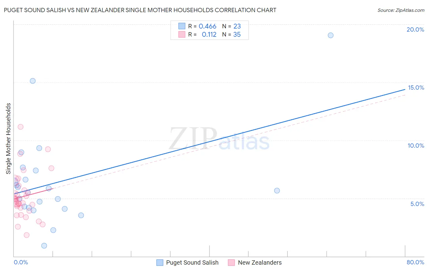 Puget Sound Salish vs New Zealander Single Mother Households