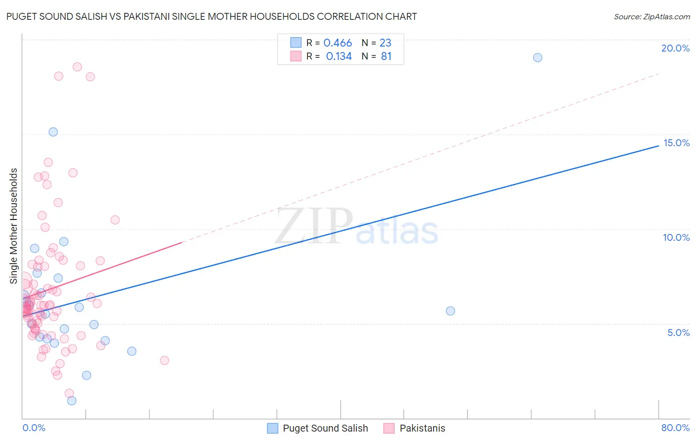 Puget Sound Salish vs Pakistani Single Mother Households