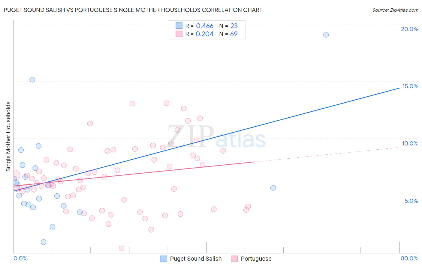 Puget Sound Salish vs Portuguese Single Mother Households