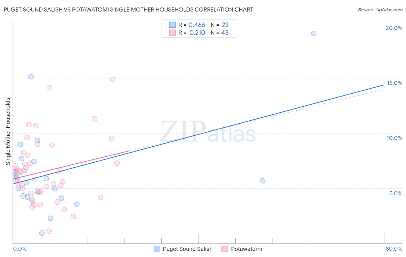 Puget Sound Salish vs Potawatomi Single Mother Households