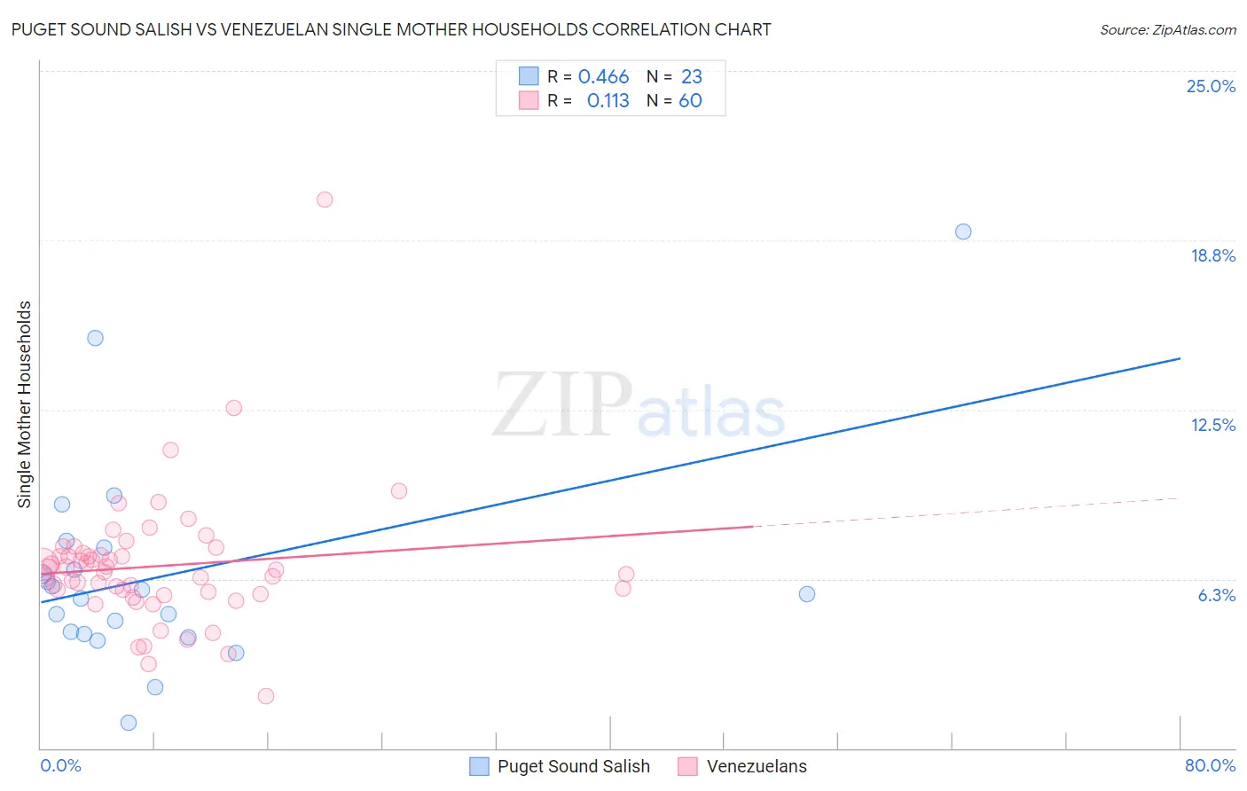 Puget Sound Salish vs Venezuelan Single Mother Households