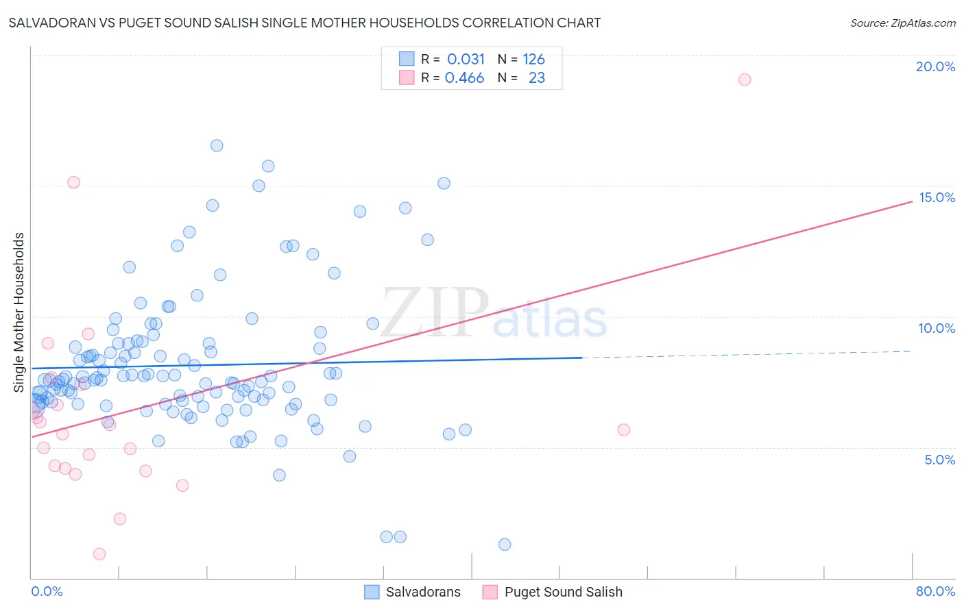 Salvadoran vs Puget Sound Salish Single Mother Households