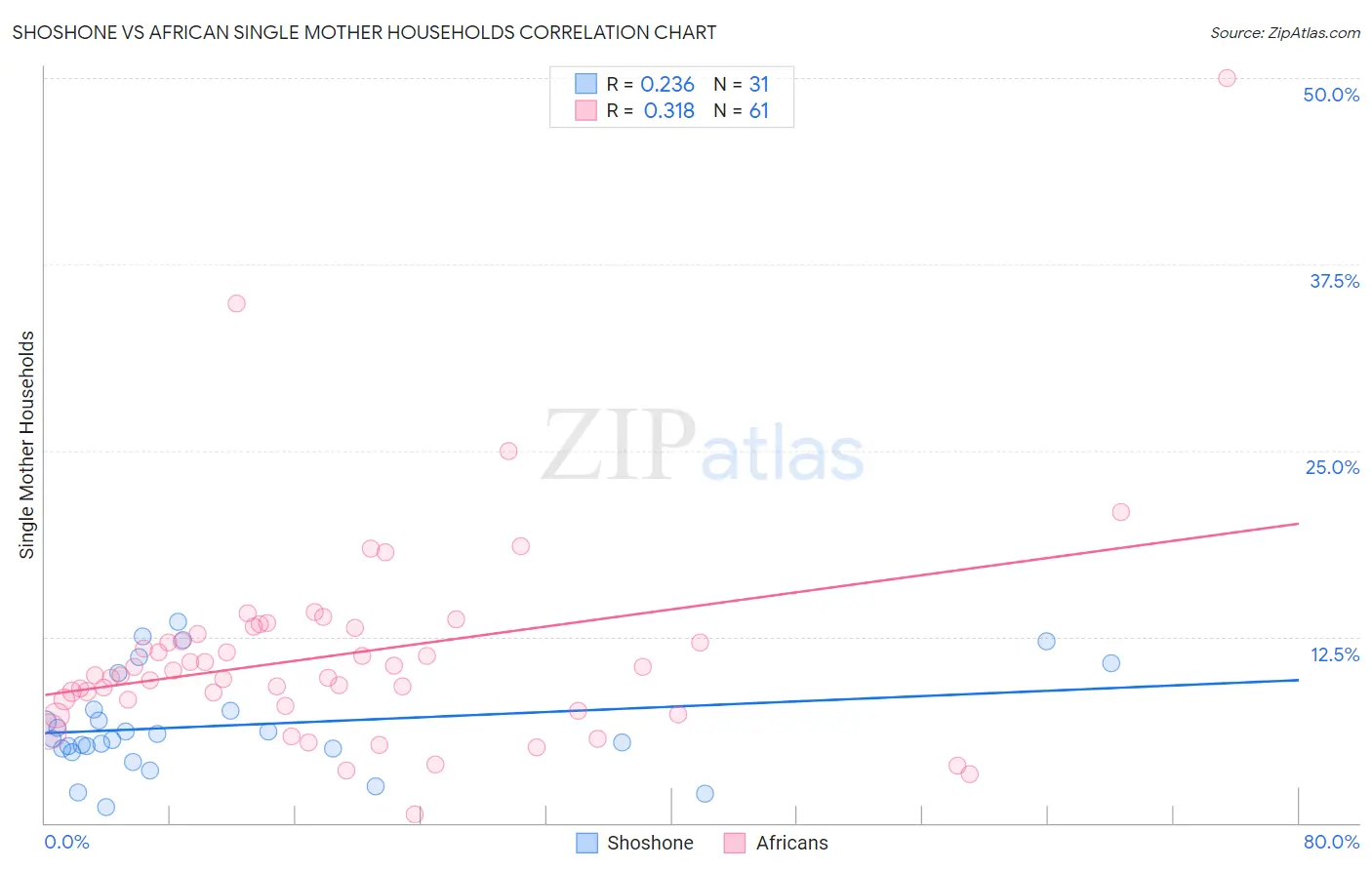 Shoshone vs African Single Mother Households