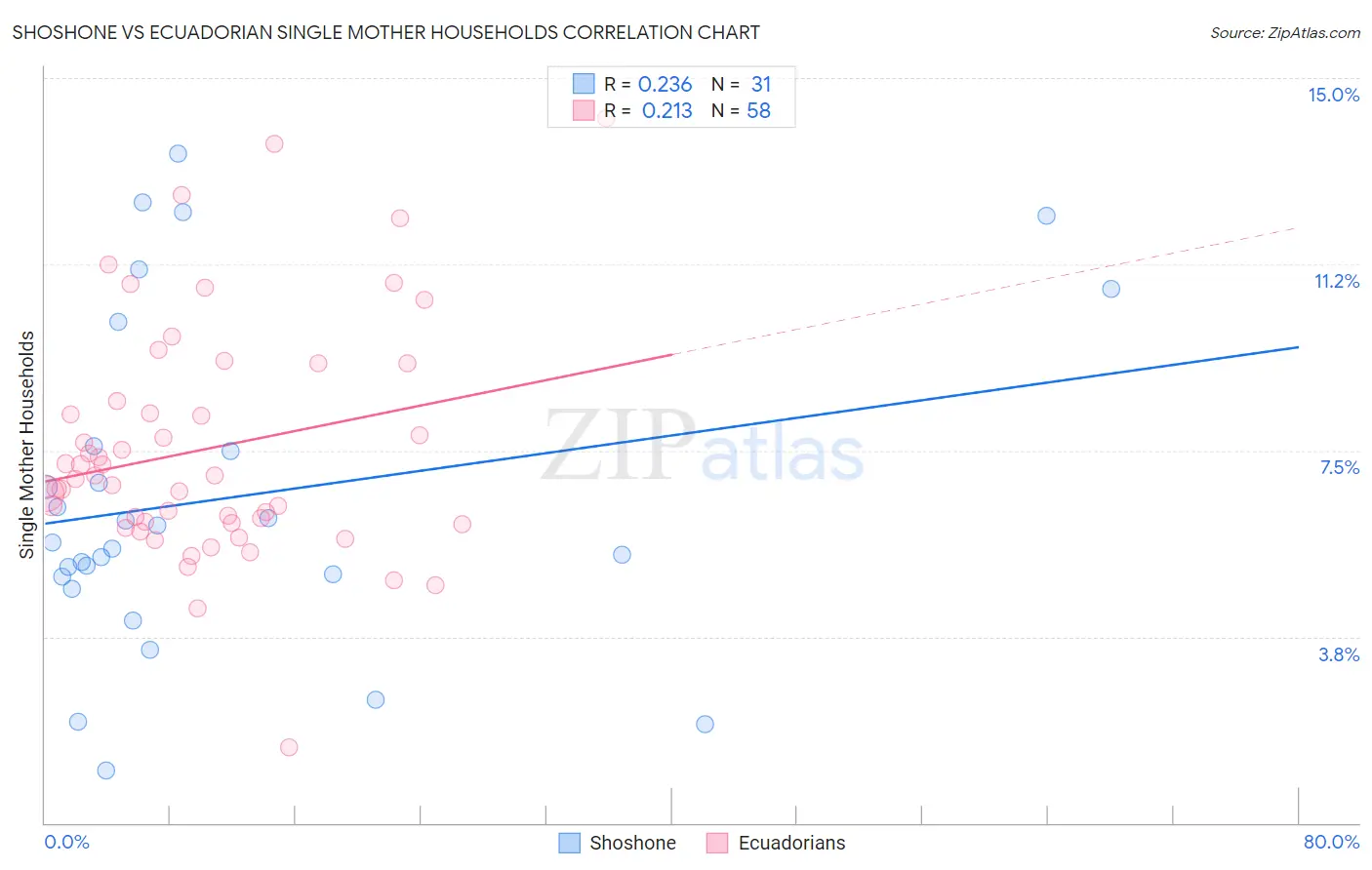 Shoshone vs Ecuadorian Single Mother Households