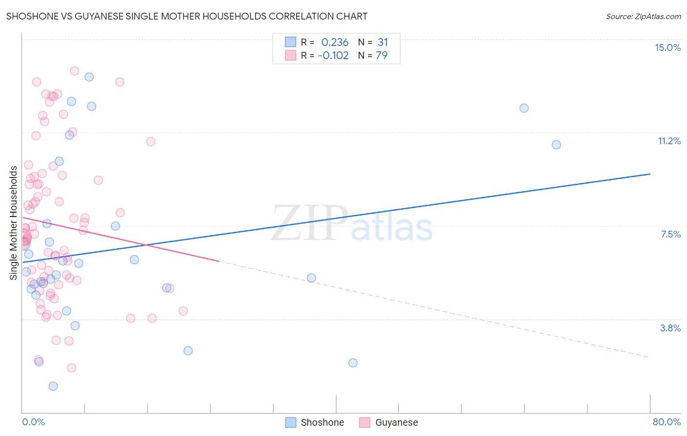 Shoshone vs Guyanese Single Mother Households