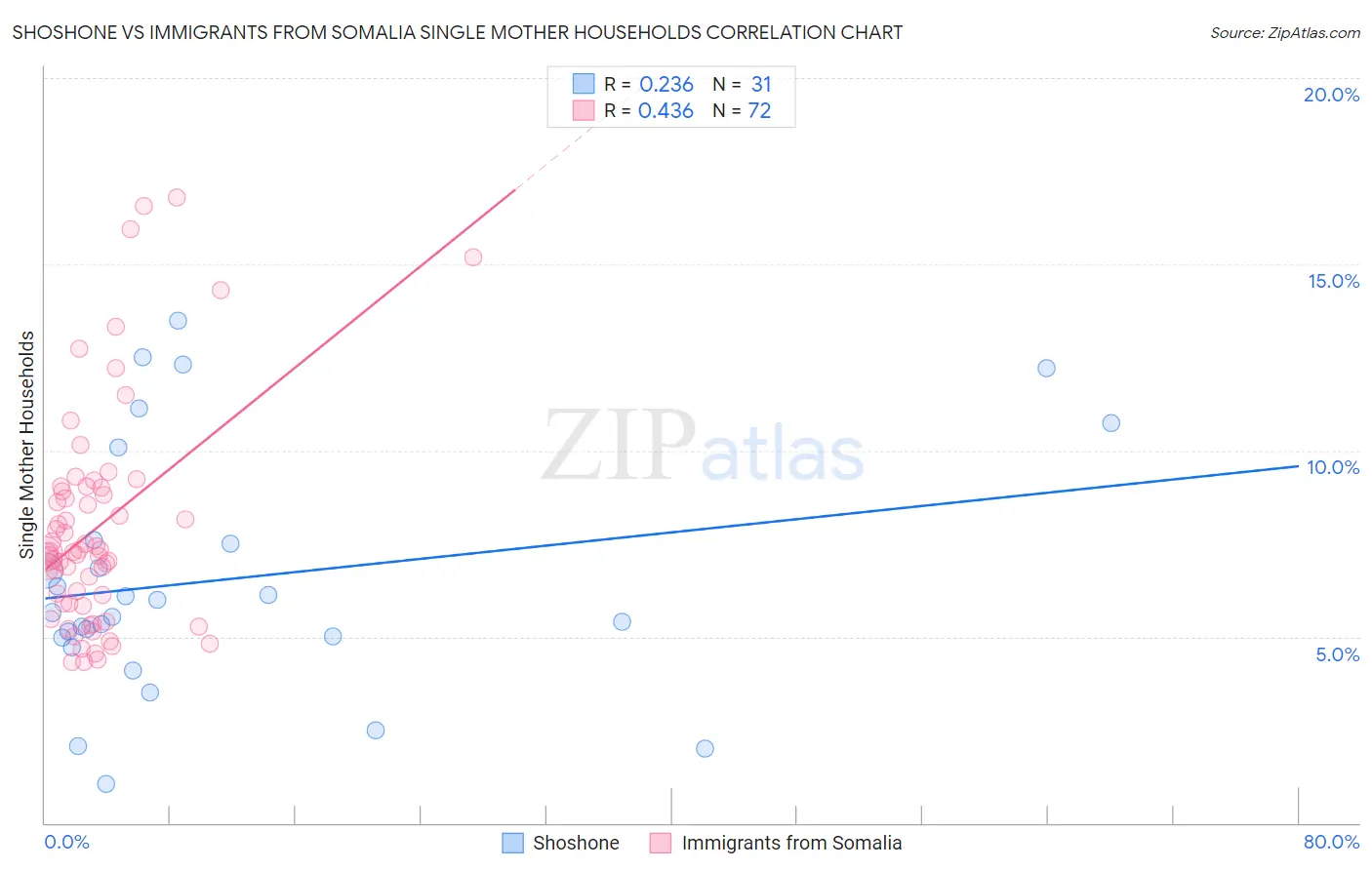 Shoshone vs Immigrants from Somalia Single Mother Households