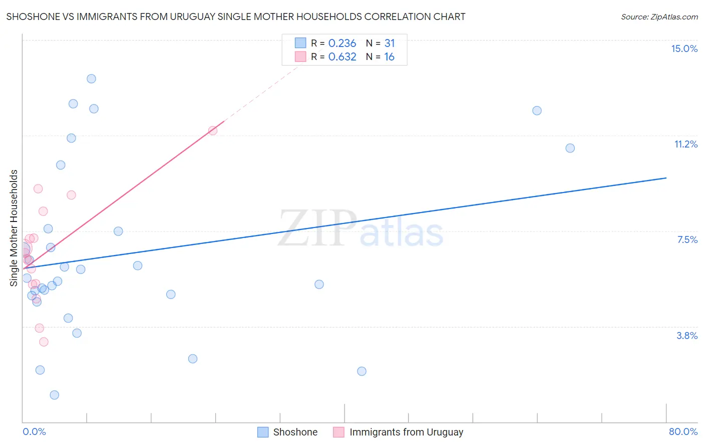 Shoshone vs Immigrants from Uruguay Single Mother Households