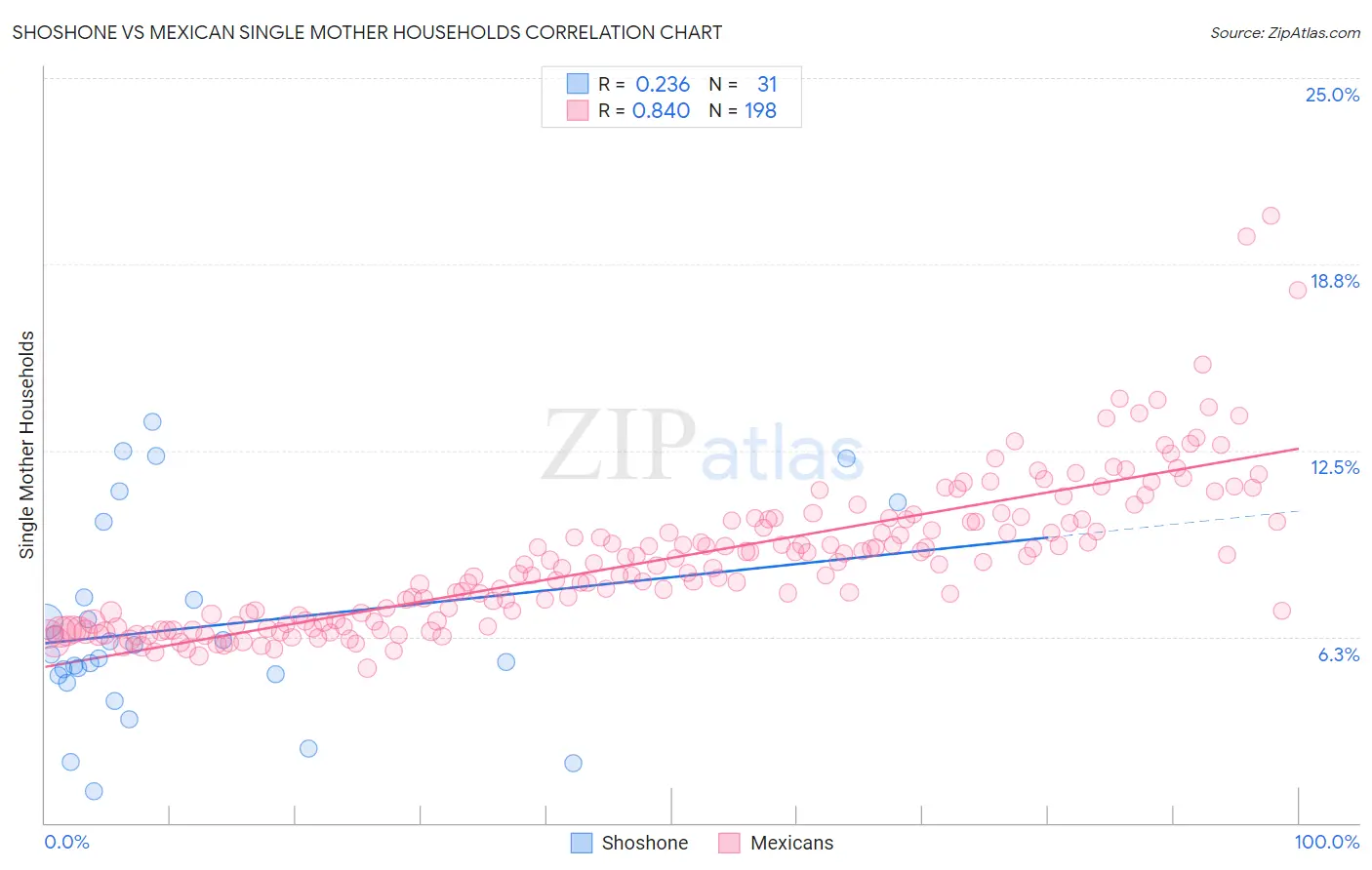 Shoshone vs Mexican Single Mother Households