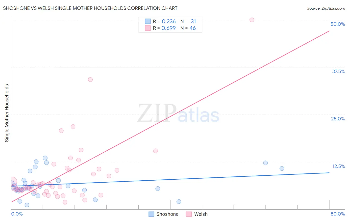 Shoshone vs Welsh Single Mother Households
