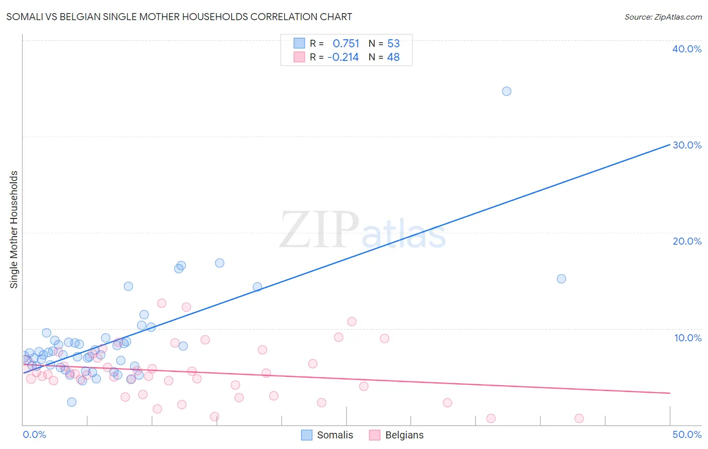 Somali vs Belgian Single Mother Households