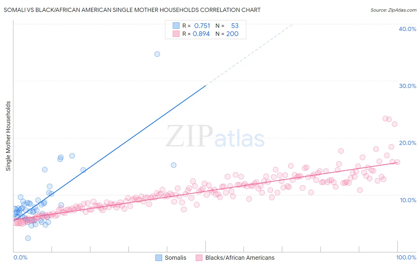 Somali vs Black/African American Single Mother Households