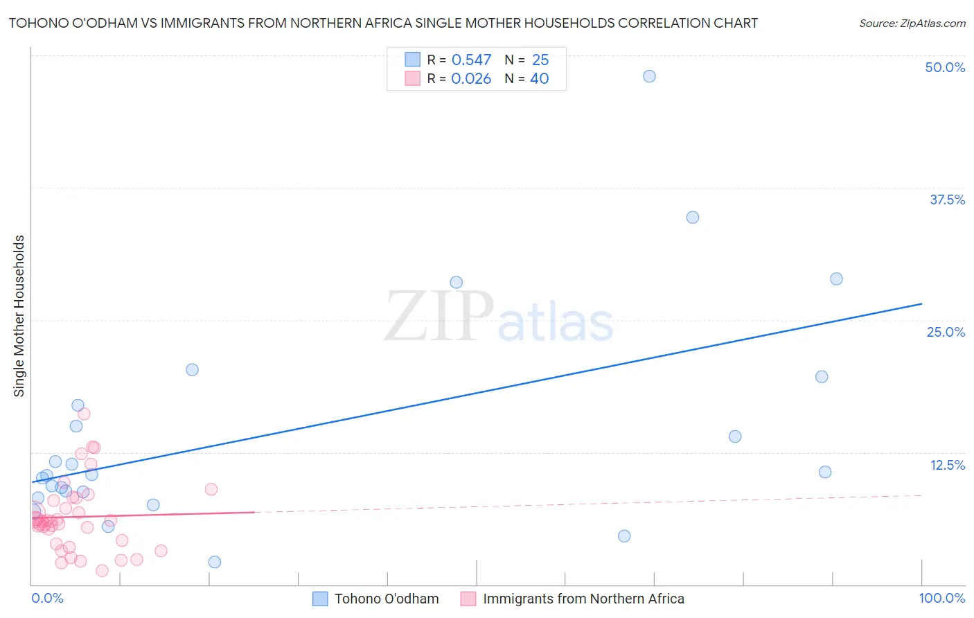 Tohono O'odham vs Immigrants from Northern Africa Single Mother Households