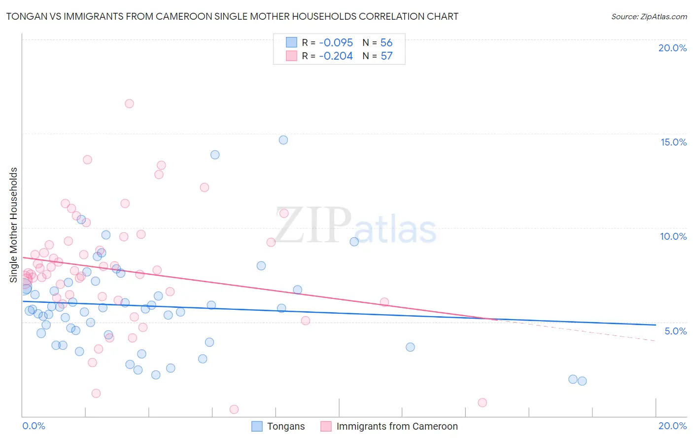 Tongan vs Immigrants from Cameroon Single Mother Households