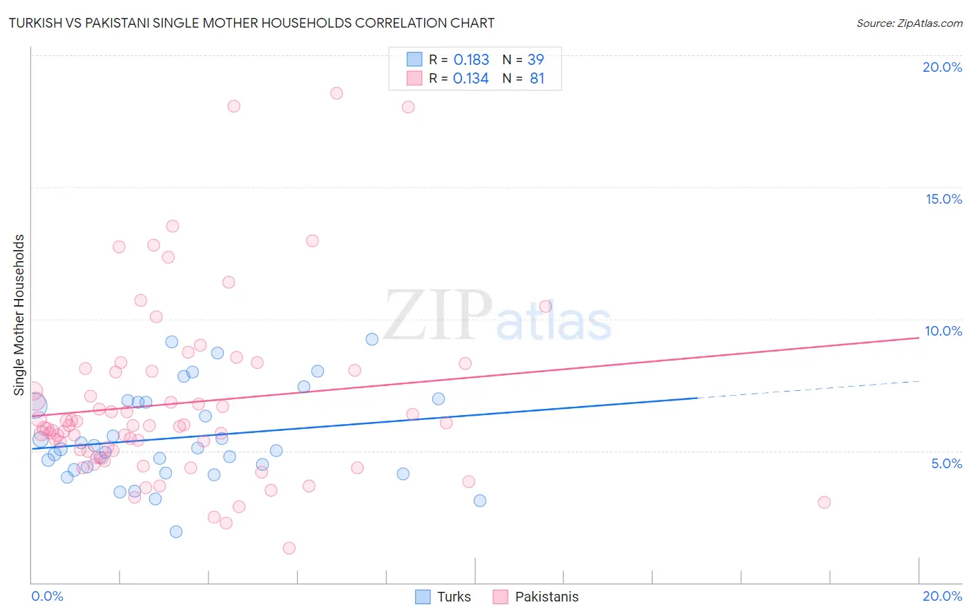 Turkish vs Pakistani Single Mother Households