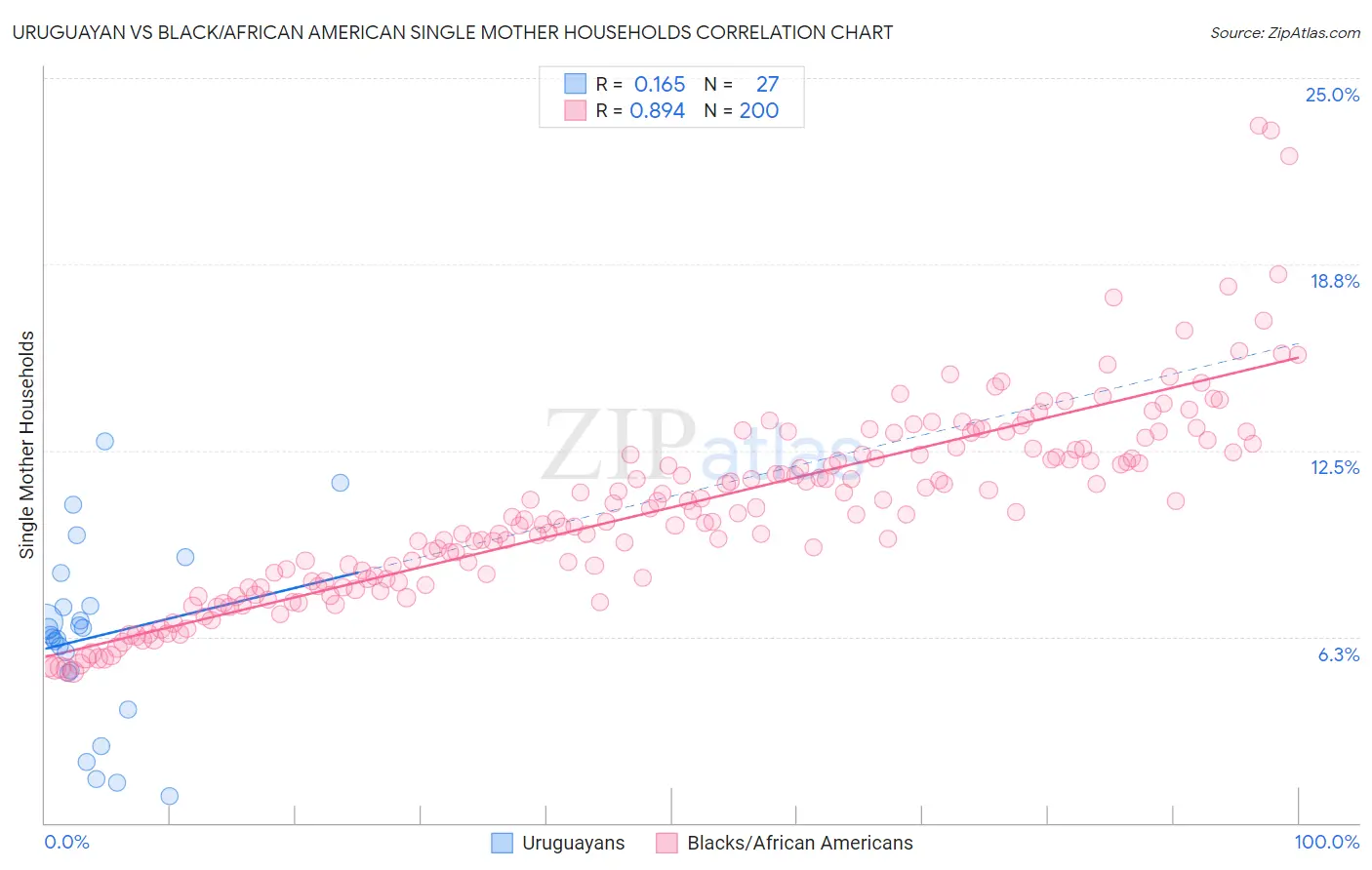 Uruguayan vs Black/African American Single Mother Households