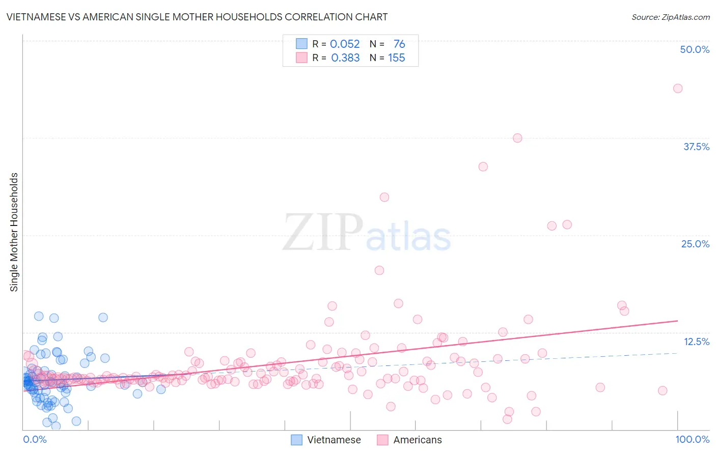 Vietnamese vs American Single Mother Households