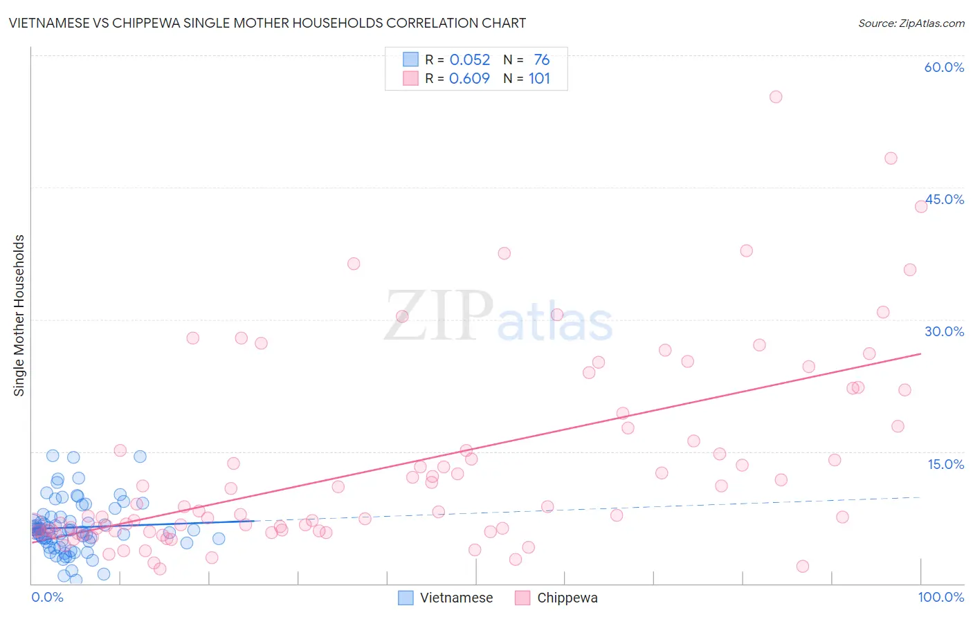 Vietnamese vs Chippewa Single Mother Households