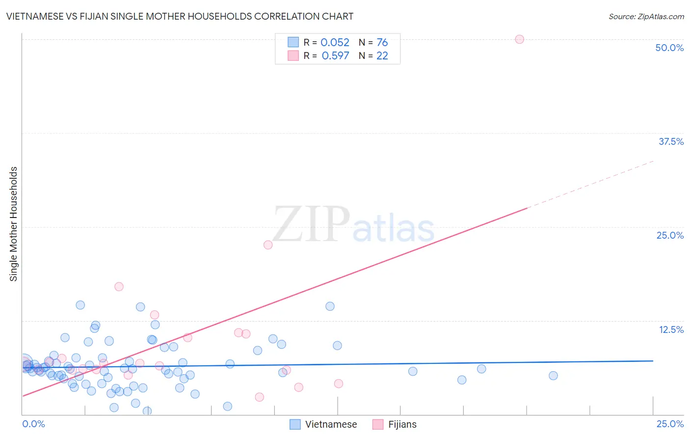 Vietnamese vs Fijian Single Mother Households