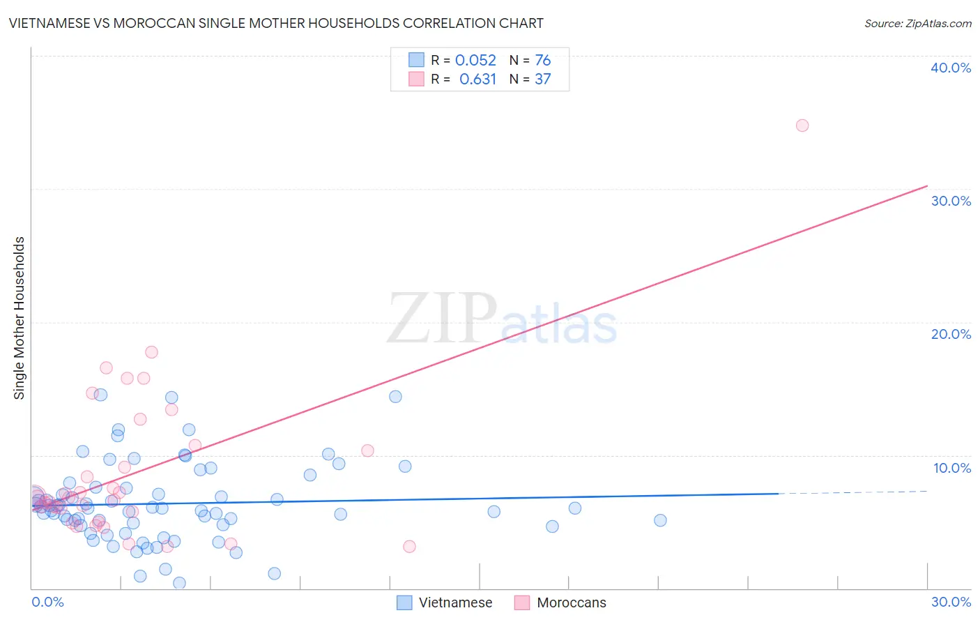Vietnamese vs Moroccan Single Mother Households