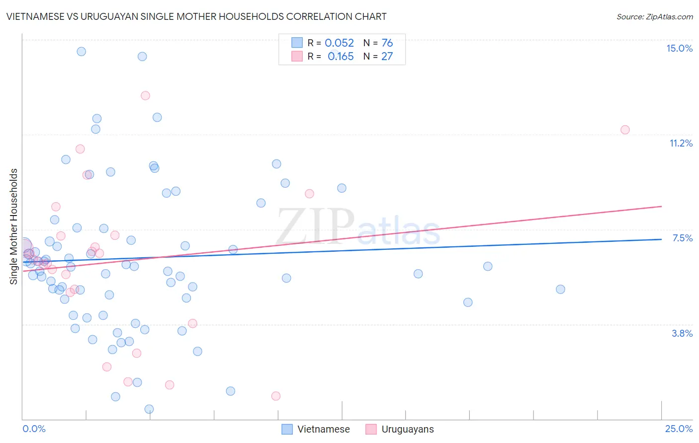 Vietnamese vs Uruguayan Single Mother Households