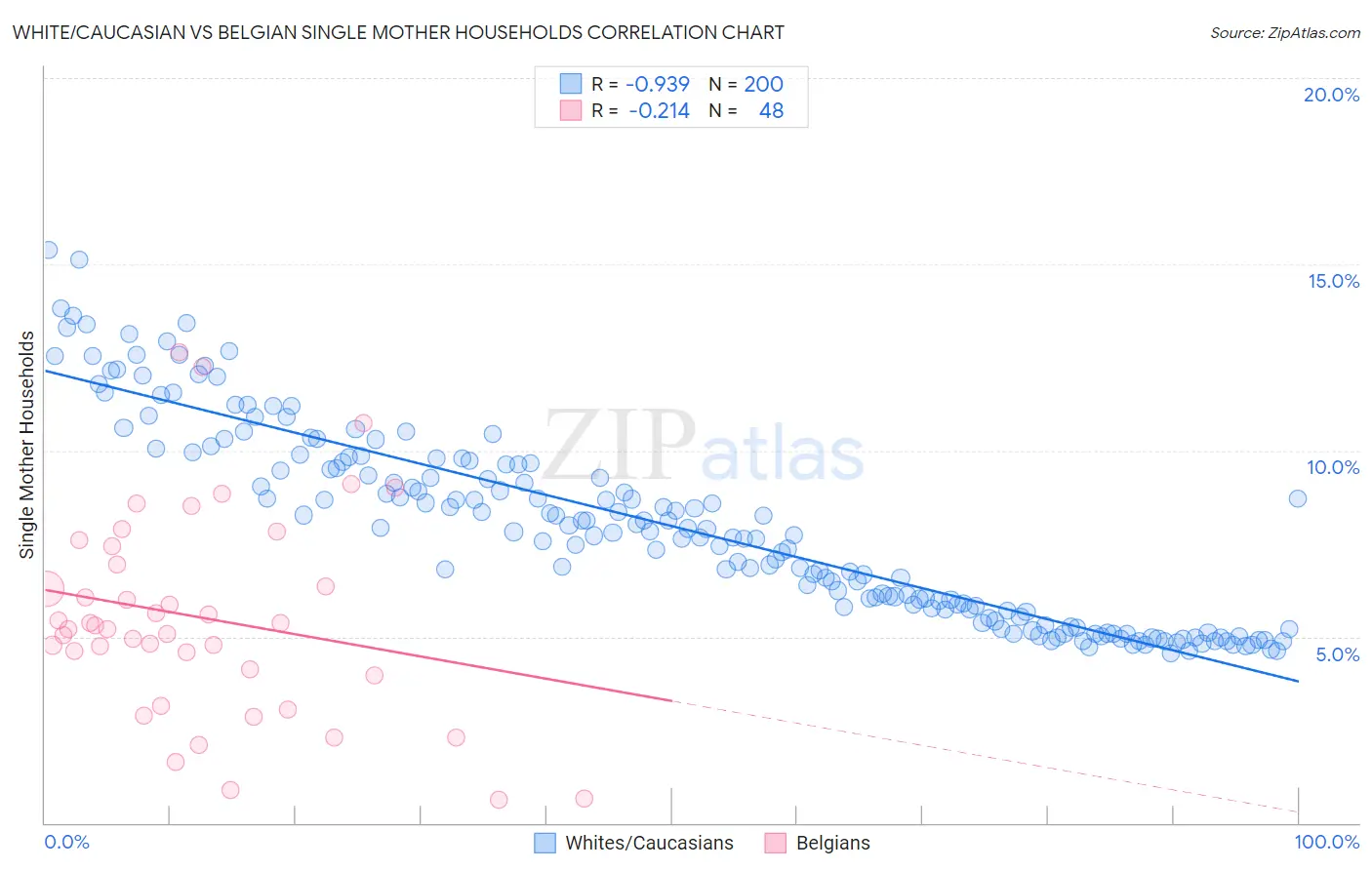 White/Caucasian vs Belgian Single Mother Households