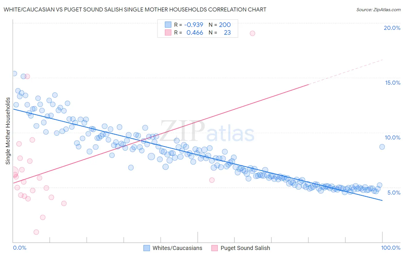 White/Caucasian vs Puget Sound Salish Single Mother Households