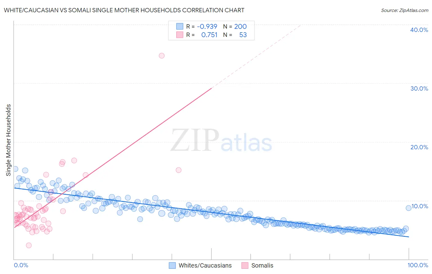 White/Caucasian vs Somali Single Mother Households