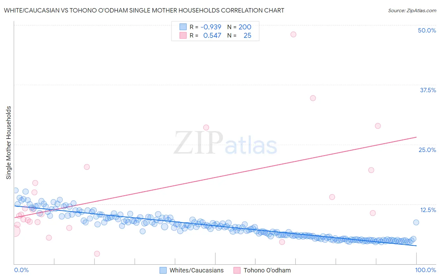 White/Caucasian vs Tohono O'odham Single Mother Households