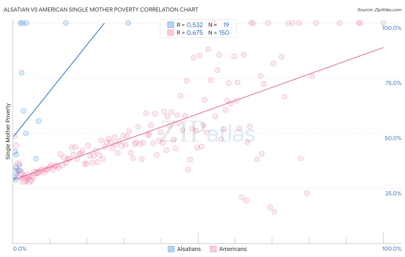 Alsatian vs American Single Mother Poverty