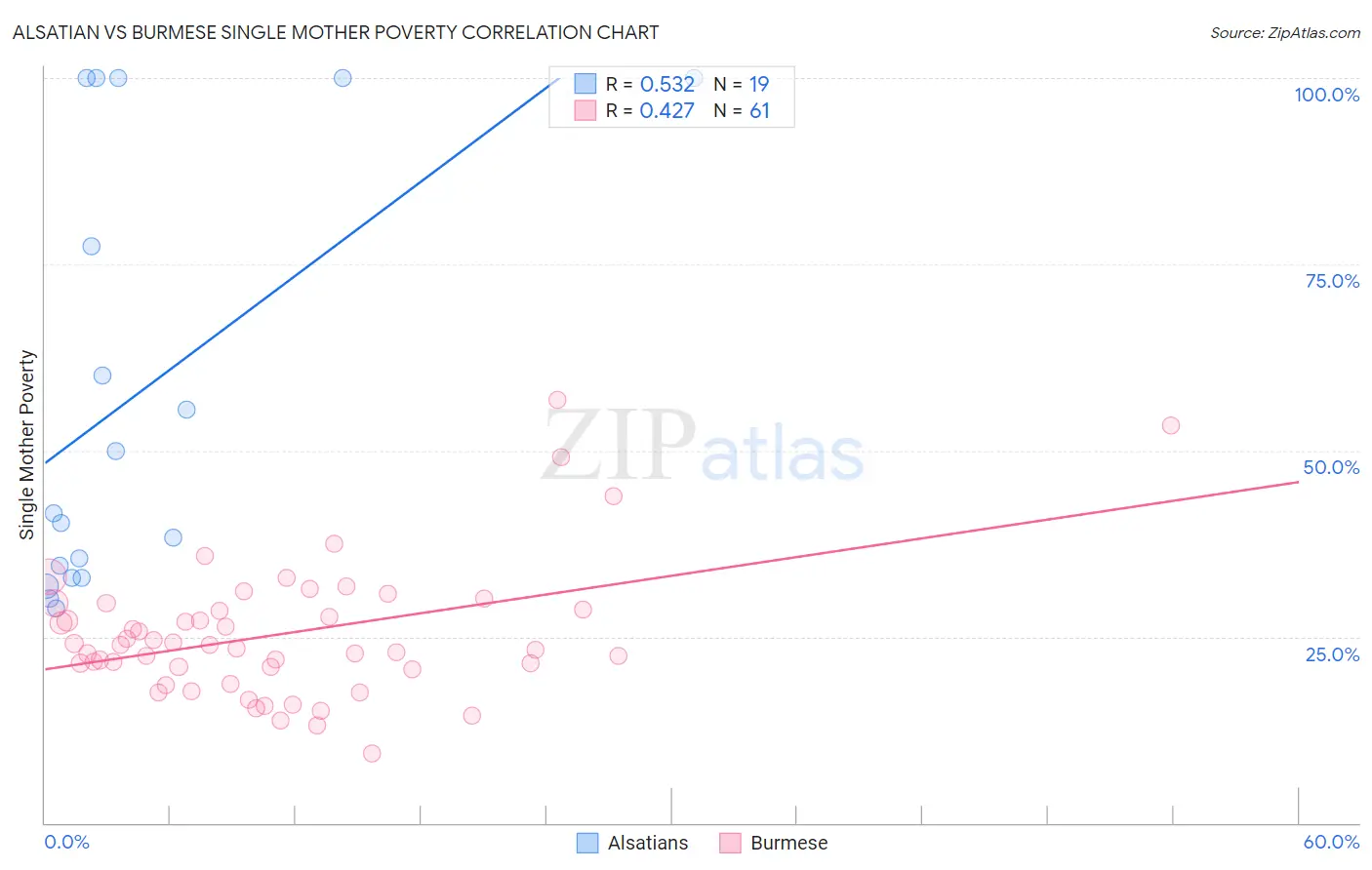 Alsatian vs Burmese Single Mother Poverty