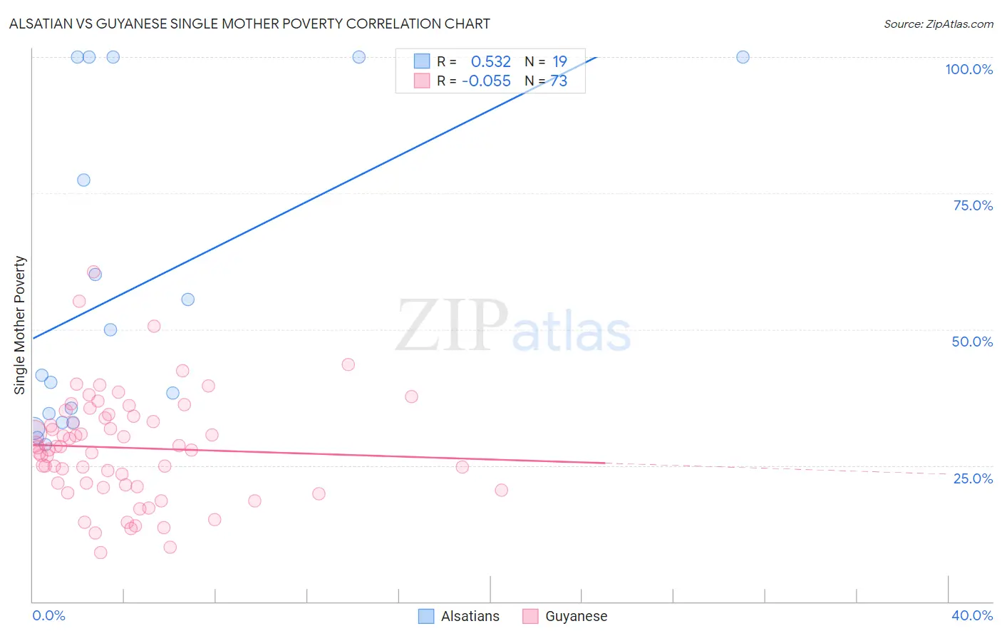 Alsatian vs Guyanese Single Mother Poverty