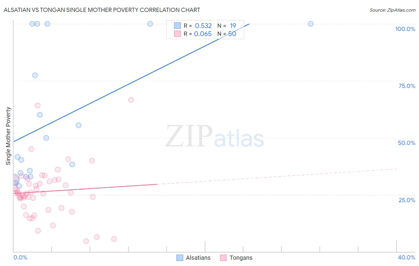 Alsatian vs Tongan Single Mother Poverty