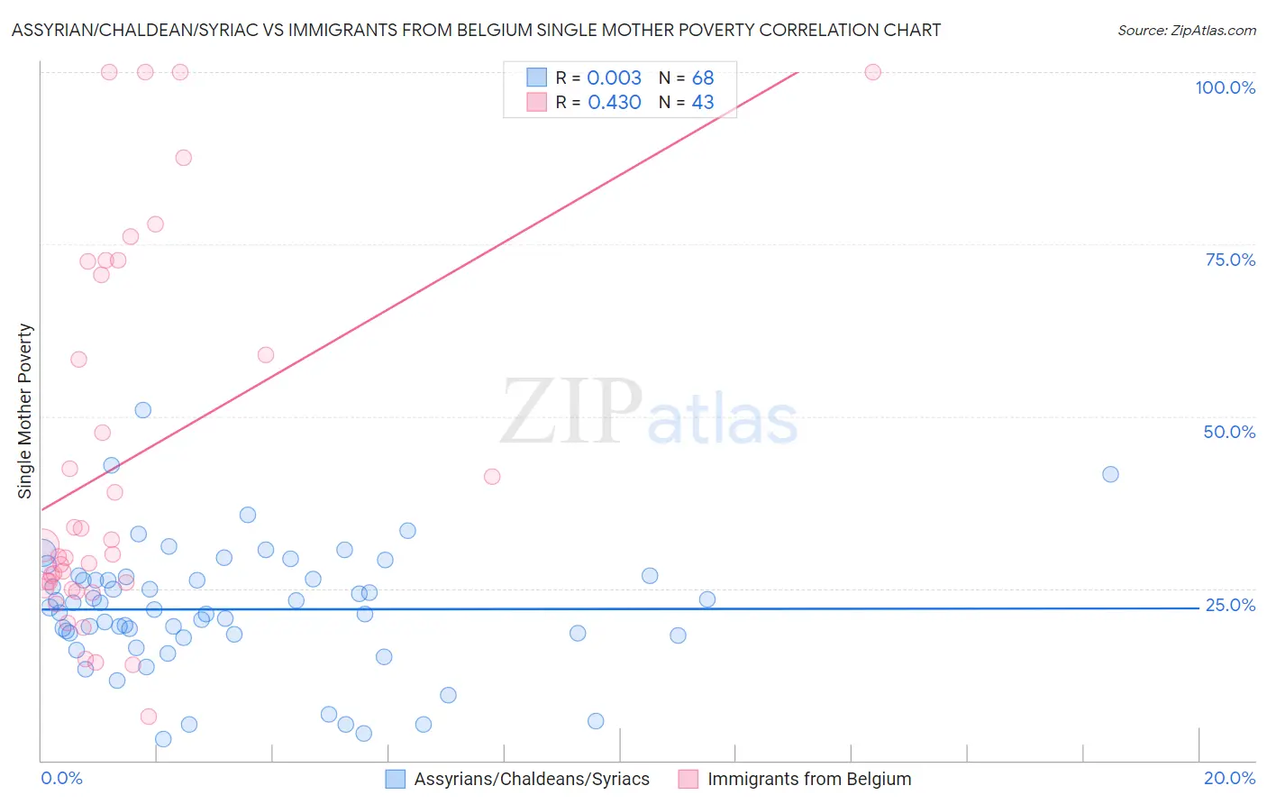 Assyrian/Chaldean/Syriac vs Immigrants from Belgium Single Mother Poverty