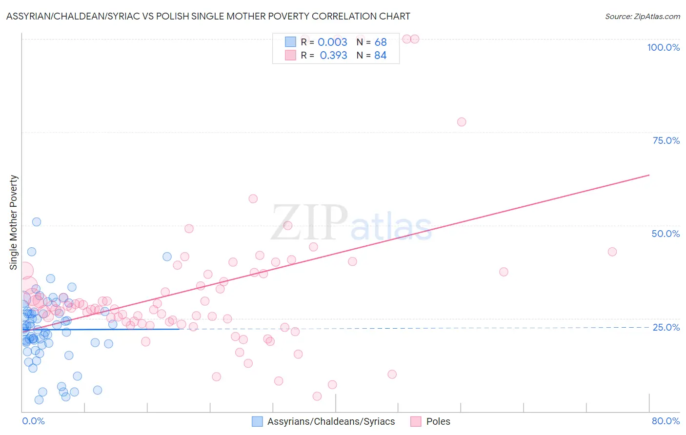 Assyrian/Chaldean/Syriac vs Polish Single Mother Poverty