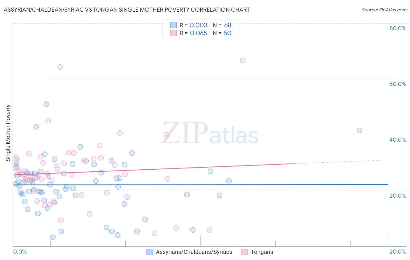 Assyrian/Chaldean/Syriac vs Tongan Single Mother Poverty