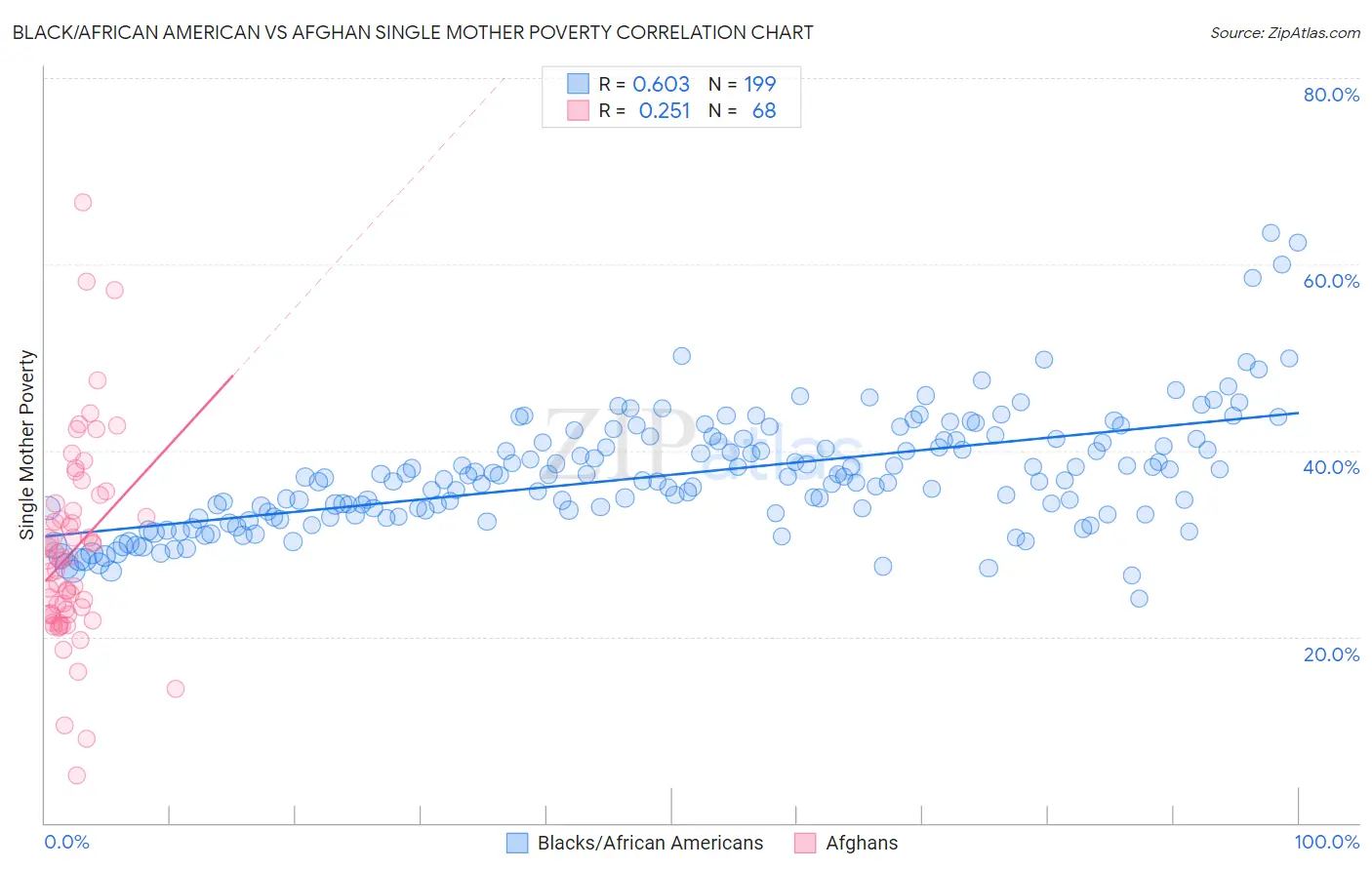 Black/African American vs Afghan Single Mother Poverty