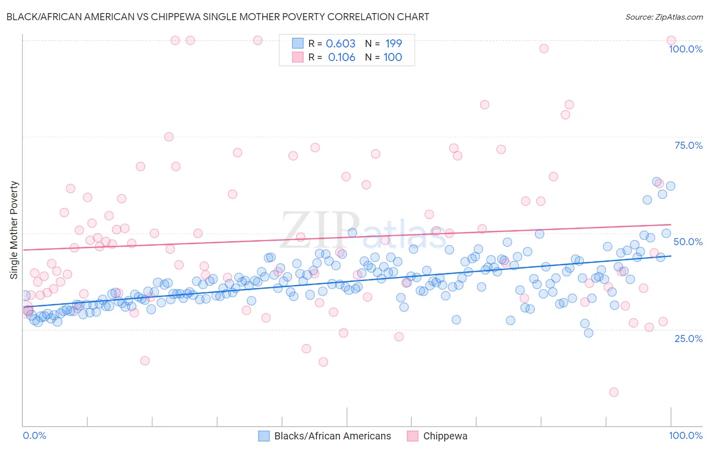 Black/African American vs Chippewa Single Mother Poverty