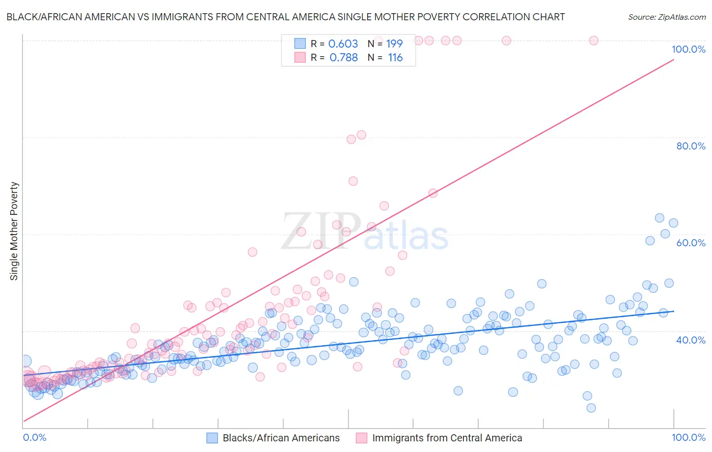Black/African American vs Immigrants from Central America Single Mother Poverty