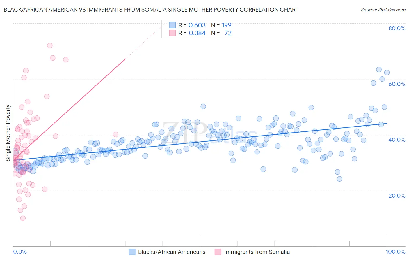 Black/African American vs Immigrants from Somalia Single Mother Poverty
